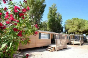 Camping 4 étoiles - eece0d
